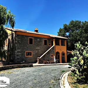 Bed & Breakfast Podere La Pace, Vada